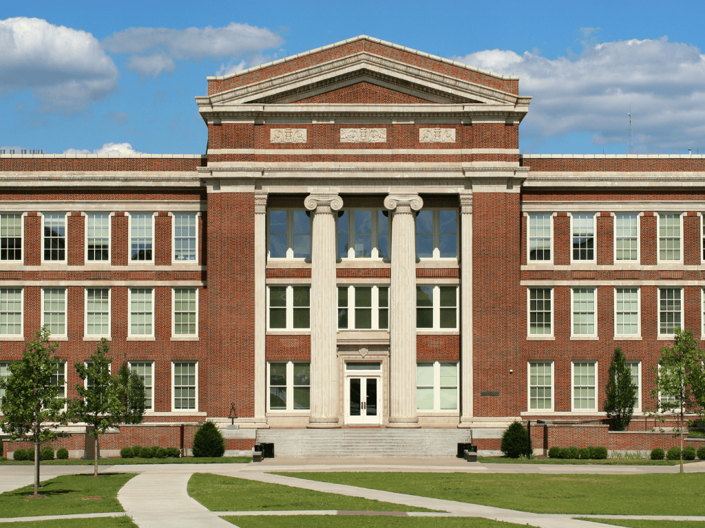 School / University